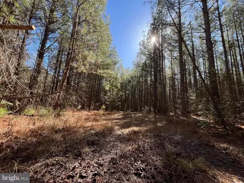 Fox Branch Rd Tract, Carson, VA 23830 photo 12