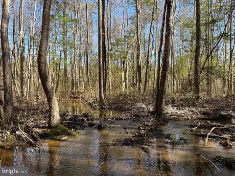 Fox Branch Rd Tract, Carson, VA 23830 photo 16
