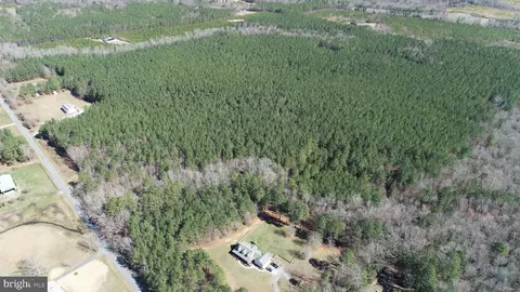 Fox Branch Rd Tract, Carson, VA 23830 photo 23