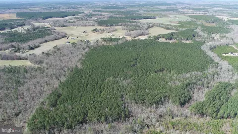 Fox Branch Rd Tract, Carson, VA 23830 photo 19