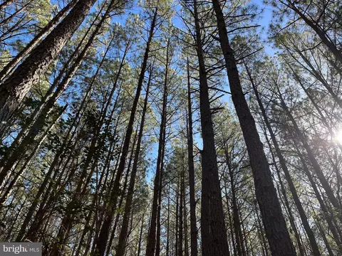 Fox Branch Rd Tract, Carson, VA 23830 photo 5