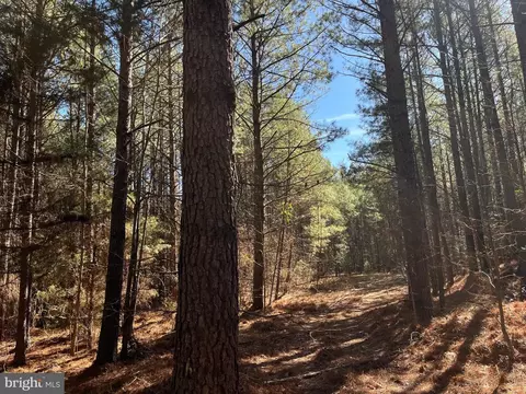 Fox Branch Rd Tract, Carson, VA 23830 photo 4