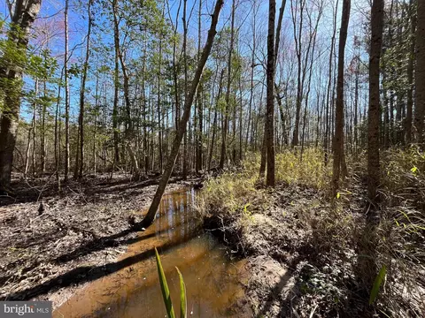Fox Branch Rd Tract, Carson, VA 23830 photo 17