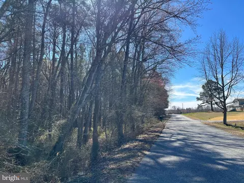 Fox Branch Rd Tract, Carson, VA 23830 photo 3