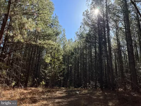 Fox Branch Rd Tract, Carson, VA 23830