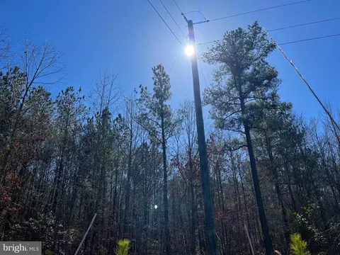 Fox Branch Rd Tract, Carson, VA 23830 photo 18