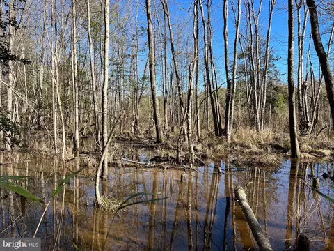 Fox Branch Rd Tract, Carson, VA 23830 photo 14