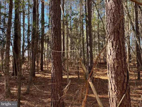 Fox Branch Rd Tract, Carson, VA 23830 photo 11