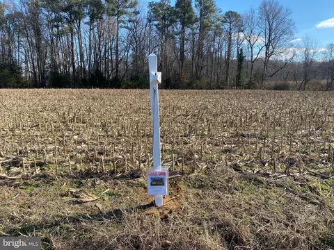 O Wildwood Road, Center Cross, VA 22437