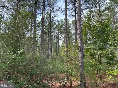 Hustle Road, Hustle, VA 22476 photo 7