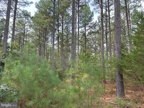 Hustle Road, Hustle, VA 22476 photo 6