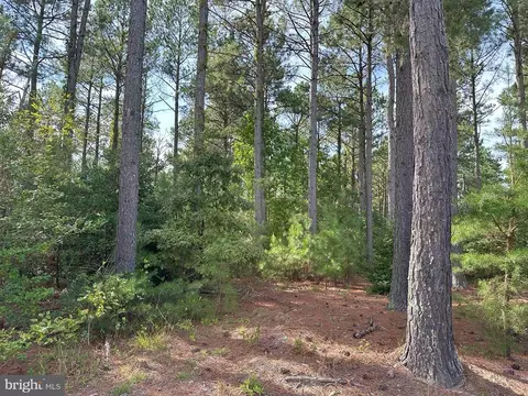 Hustle Road, Hustle, VA 22476 photo 14