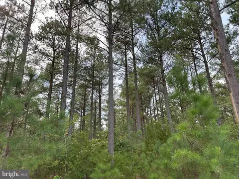 Hustle Road, Hustle, VA 22476 photo 2