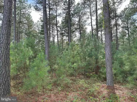 Hustle Road, Hustle, VA 22476 photo 5