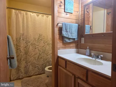 Bath - 466 Laurel Springs Rd, Hustle, VA 22476 photo 1 of 4