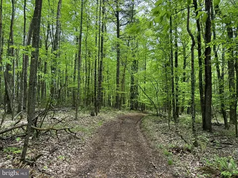 Burks Hollow Rd, Willis, VA 24380 photo 15