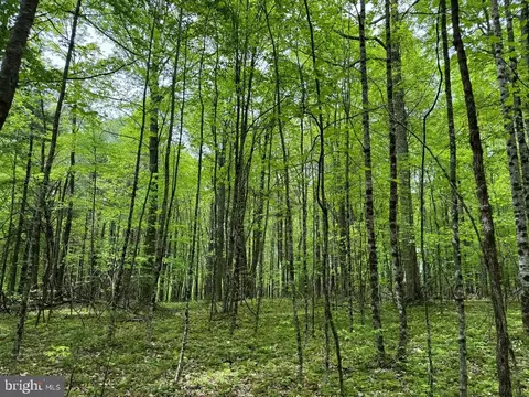 Burks Hollow Rd, Willis, VA 24380 photo 13