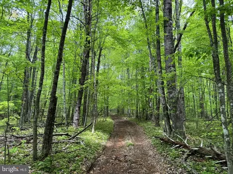 Burks Hollow Rd, Willis, VA 24380 photo 12