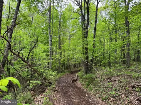 Burks Hollow Rd, Willis, VA 24380 photo 11