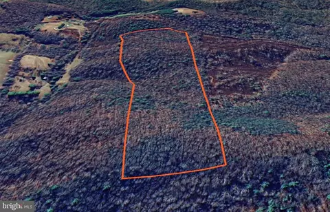 Burks Hollow Rd, Willis, VA 24380 photo 6