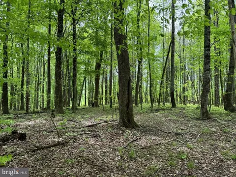 Burks Hollow Rd, Willis, VA 24380 photo 14