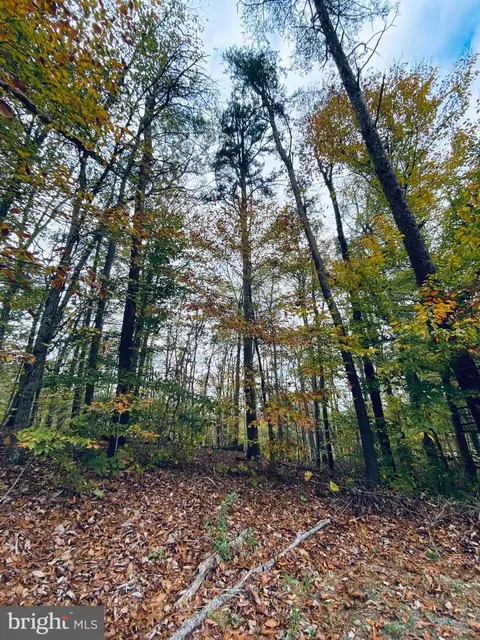 lot3 Cole Dr, Remington, VA 22734
