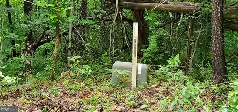 Wilson Road, Marshall, VA 20115 photo 18