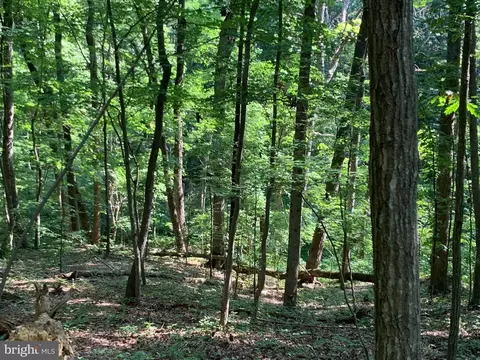 lot1 Carters Run, Marshall, VA 20116 photo 51