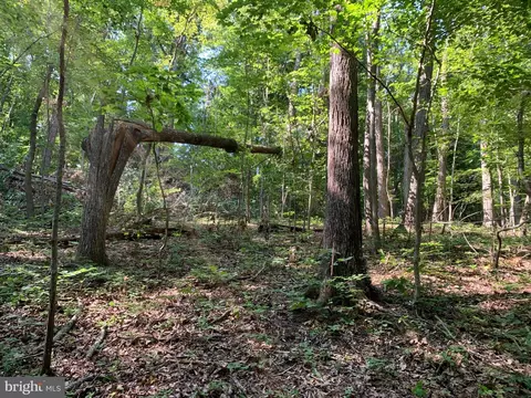 lot1 Carters Run, Marshall, VA 20116 photo 52
