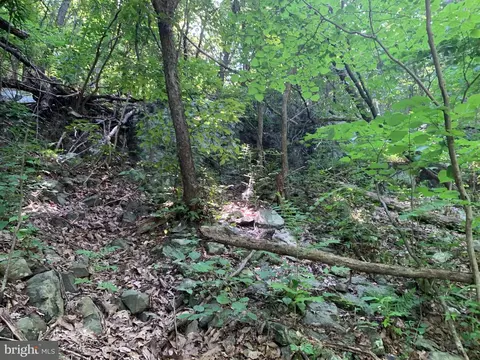 lot1 Carters Run, Marshall, VA 20116 photo 53
