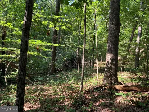 lot1 Carters Run, Marshall, VA 20116 photo 44