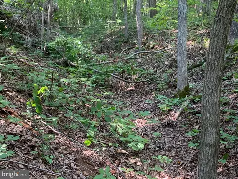 lot1 Carters Run, Marshall, VA 20116 photo 50