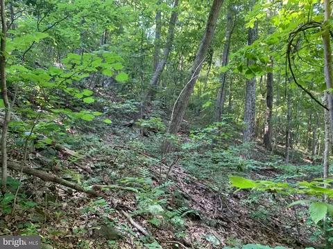 lot1 Carters Run, Marshall, VA 20116 photo 54