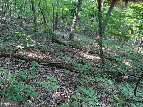 lot1 Carters Run, Marshall, VA 20116 photo 55