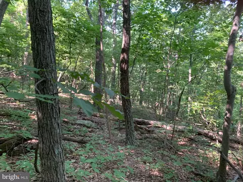 lot1 Carters Run, Marshall, VA 20116 photo 56