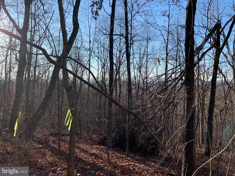 lot1 Carters Run, Marshall, VA 20116 photo 21
