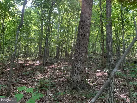 lot1 Carters Run, Marshall, VA 20116 photo 58