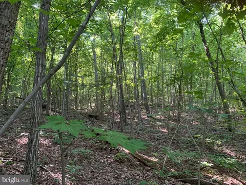 lot1 Carters Run, Marshall, VA 20116 photo 59