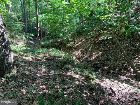 lot1 Carters Run, Marshall, VA 20116 photo 46