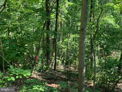 lot1 Carters Run, Marshall, VA 20116 photo 49