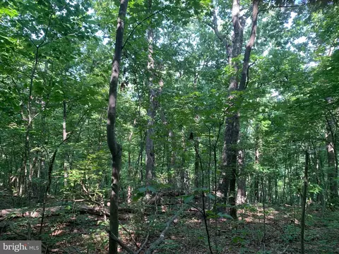 lot1 Carters Run, Marshall, VA 20116 photo 57