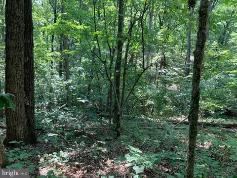 lot1 Carters Run, Marshall, VA 20116 photo 42