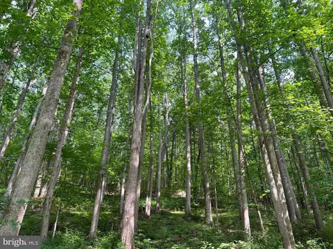Free State, Marshall, VA 20115 photo 4