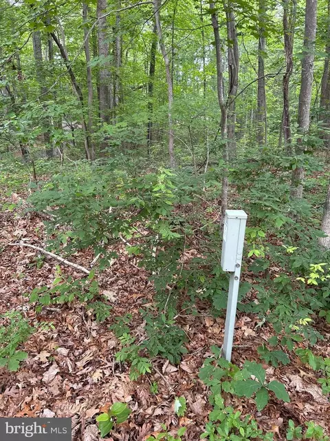 Mountjoy Rd, Marshall, VA 20115 photo 7