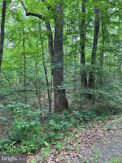 Mountjoy Rd, Marshall, VA 20115 photo 4