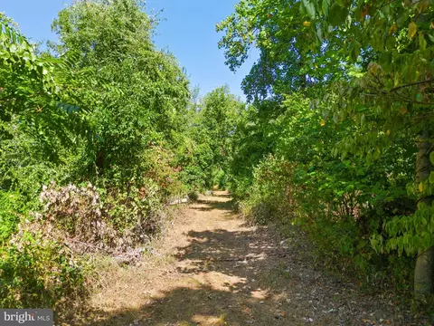 Apple Manor Road, Markham, VA 22643 photo 11