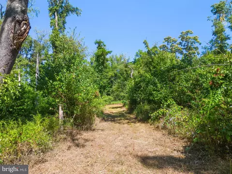 Apple Manor Road, Markham, VA 22643 photo 13