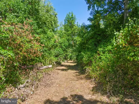 Apple Manor Road, Markham, VA 22643 photo 12