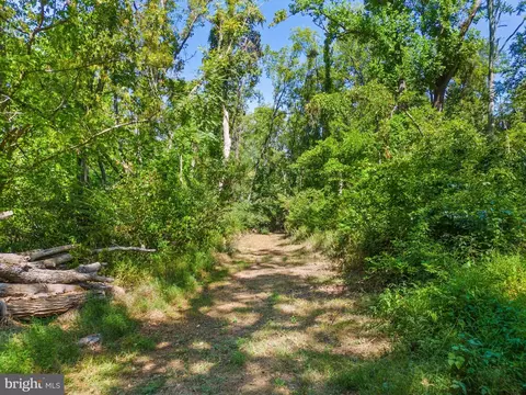 Apple Manor Road, Markham, VA 22643 photo 9
