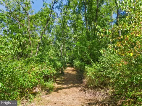Apple Manor Road, Markham, VA 22643 photo 10